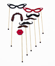 Load image into Gallery viewer, The Whisker Stick Collection