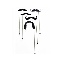 Load image into Gallery viewer, Whisker Sticks - Set of 5
